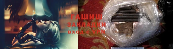 индика Горняк