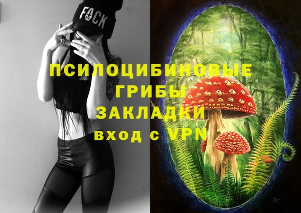 молекула духа Усмань